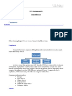 Output Devices