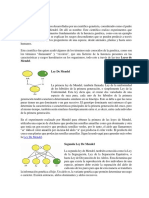 Leyes de Mendel