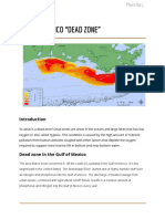 Gulf of Mexico "Dead Zone": World Geography