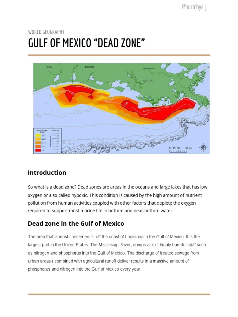 Gulf of Mexico "Dead Zone" World Geography PDF Dead Zone (Ecology