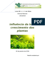 Relatório científico