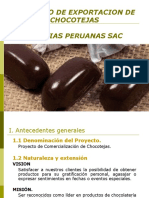 Proyecto Base.ppt