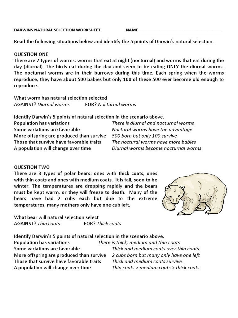 darwins-natural-selection-worksheet-key-pdf-bears-natural-selection