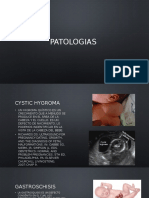 patologias 2