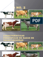 Características fenotípicas de razas lecheras