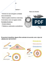 Aula de Platelmintos e Verminoses