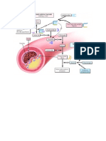 Acute Coronary Syndrome