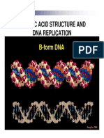Nucleic Acid Structure and Dna Replication