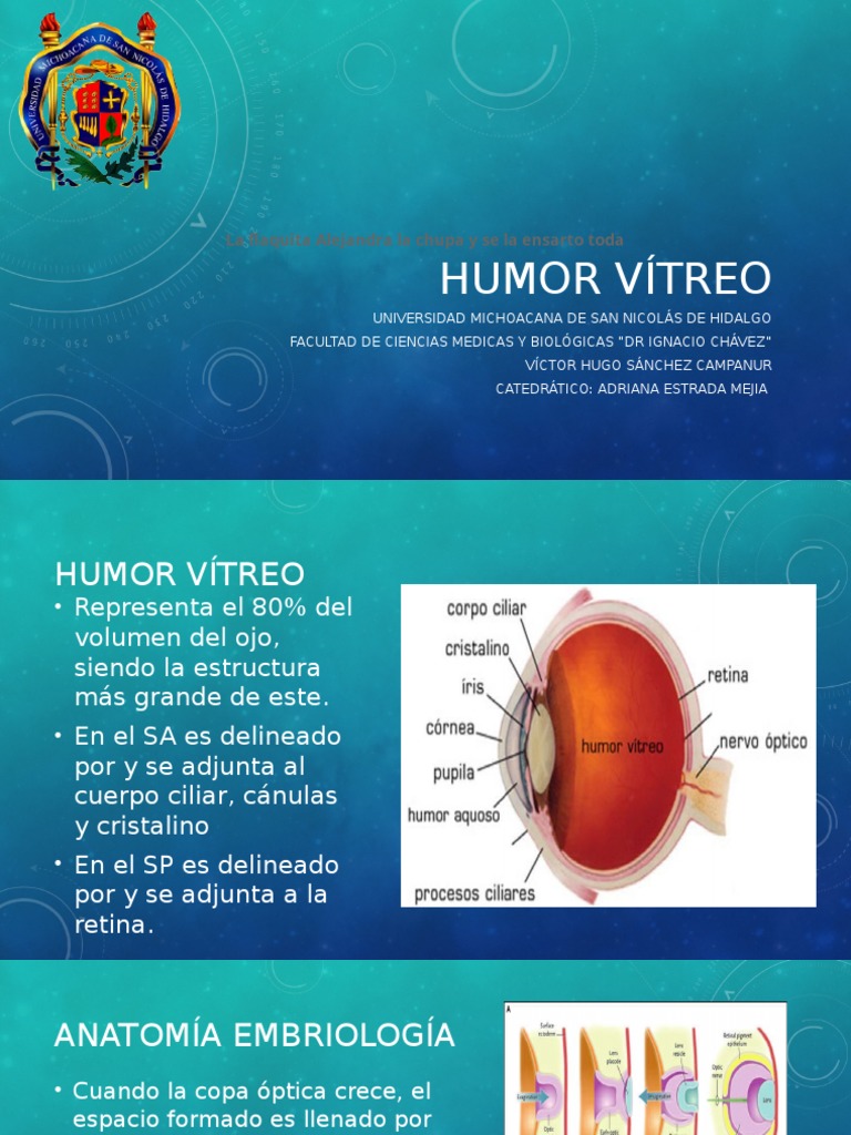 Humor Vitreo Metabolismo Ojo humano