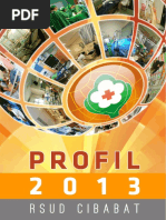 Download Profil 2013 RSUD Cibabat by calvin SN303300506 doc pdf