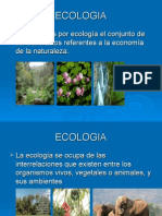 eco imagenes