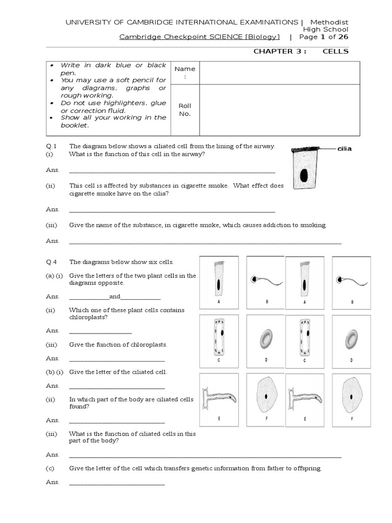 Plant and animal cell experiment picture