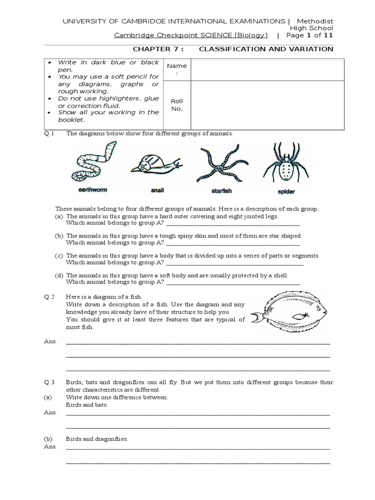 7 Classification and Variation - Que | PDF | Gray Wolf | Dogs, image size:768x1024