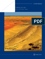 Horn Indago Petroleum Report 201005 - Final