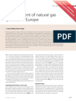 Development of Nautral Gas Quality in Europe - 2.pdf