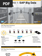 Solutions: Week 2 Unit 1: SAP Big Data