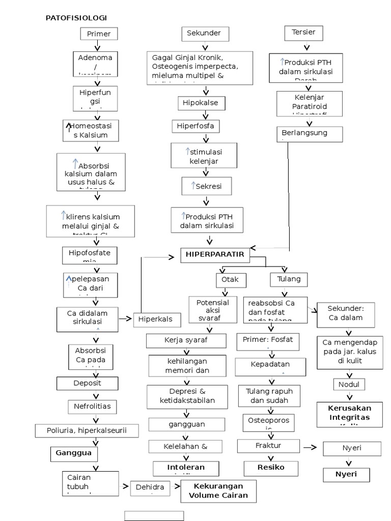Patofisiologi Hiperparatiroid