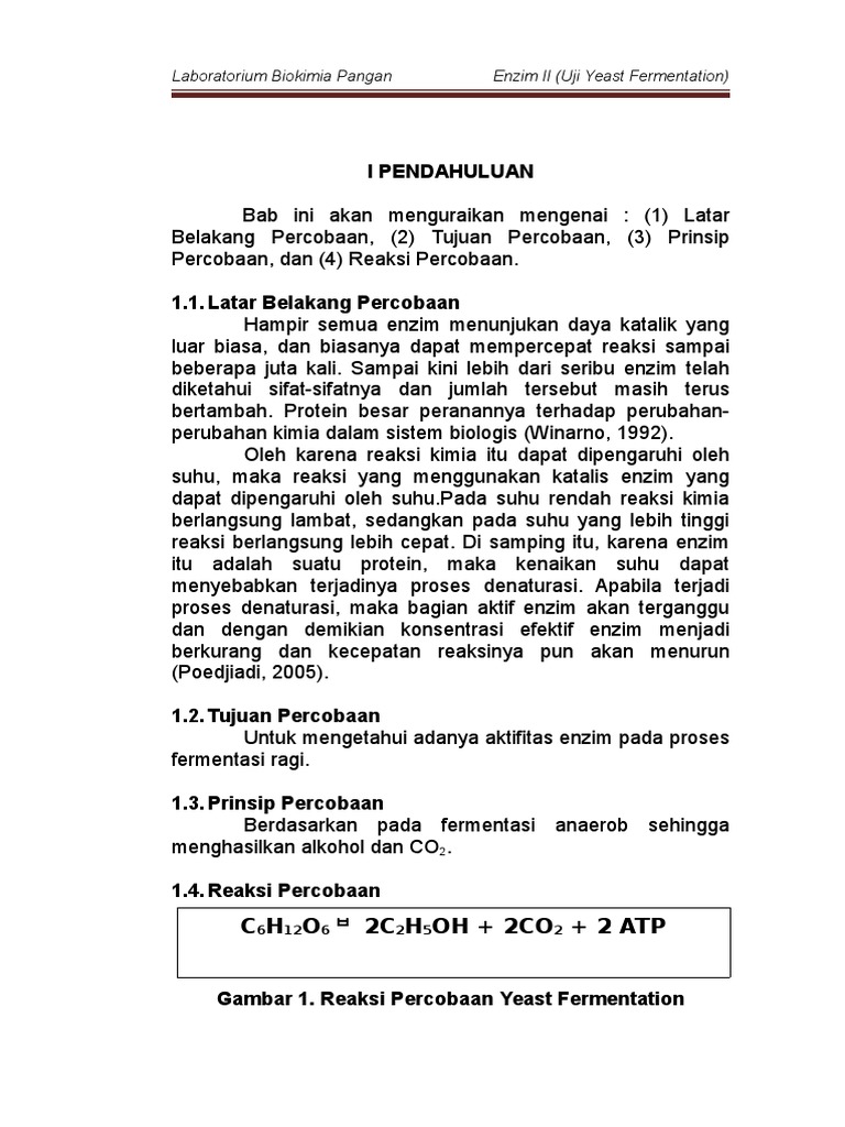Aktivitas Enzim dalam Fermentasi Ragi | PDF