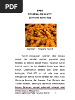 Download KUNYIT by LidhaSaa SN303396314 doc pdf