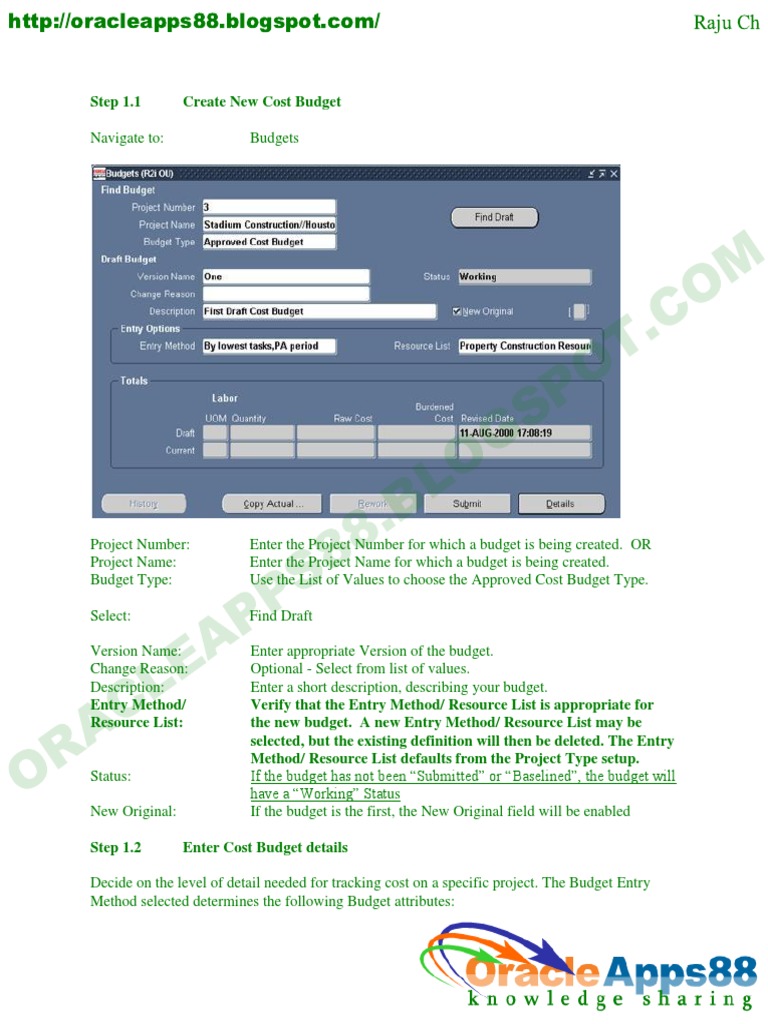 Creating Oracle Cost Budgets Guide | PDF | Revenue | Resource