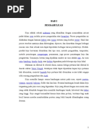 Download Makalah Bioteknologi Pembuatan Keju by fahmialwi1 SN303455482 doc pdf