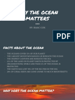 Why The Ocean Matters