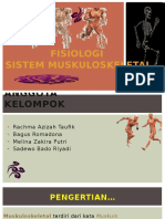 Fisiologi Muskuloskeletal