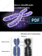 Estrutura e Classificação Dos Cromossomos