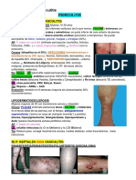 Paniculitis y Vasculitis