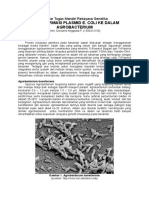 Transformasi e Coli Ke Agrobacterium