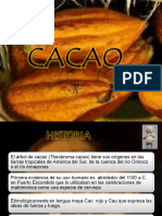 Cacao Oscar