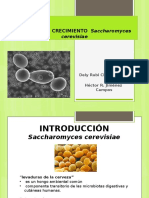 Practica de Micro Saccharomyses Cerevisea LISTA