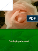 Patologie Pulmonară