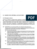 Páginas de Manual Practico Del Juicio Oral Cl G Mapeo Del Sistema Acusatorio