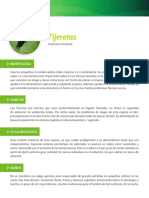 tijeretas.pdf-2069136159