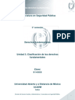 Unidad 3. Clasificacion de Los Derechos Fundamentales