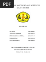 Download Identifikasi Bakteri Morfologi Kelompok 9 by efasilviakelautan SN30379191 doc pdf