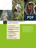 Nutricion Animales