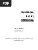 Download Manfaat Belatung Dalam Penyembuhan Luka by saldy_yusuf3024 SN30380773 doc pdf