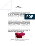 Download Tahapan Pembuatan Sari Buah by Bagas Aryo Sasongko SN303813350 doc pdf