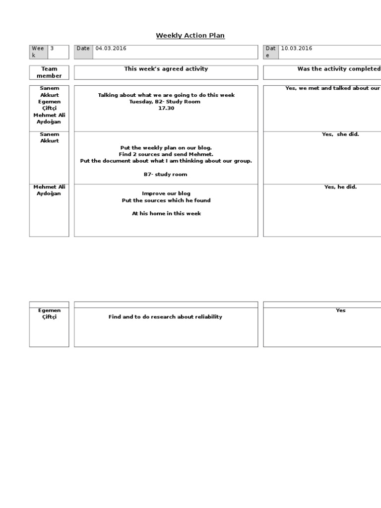 Weekly Action Plan | PDF