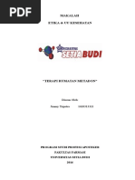Download Terapi Rumatan Metadon by Jimmy Triputra SN303886720 doc pdf
