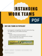 Understanding Work Teams