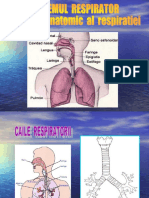 0sistemul Respirator