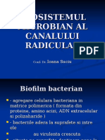 9. the Microbial Ecosystem of the Radicular Canal