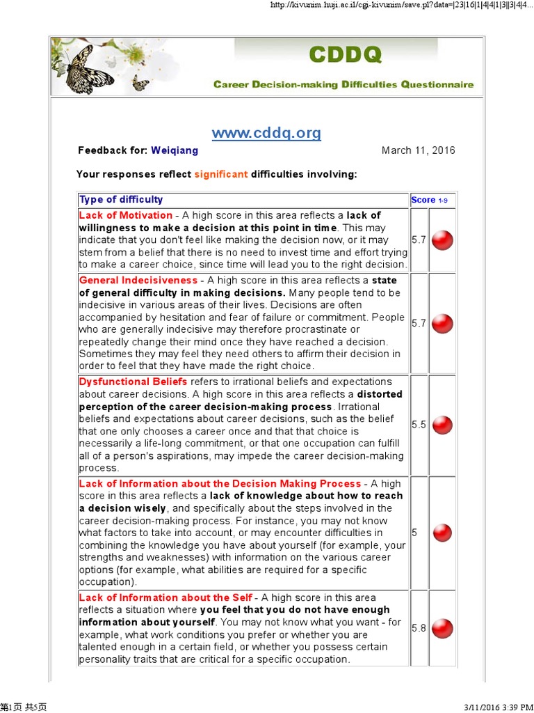 CDDQ | PDF | School Counselor | Decision Making