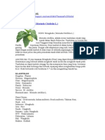 Download Tanaman Herbal by Mas Abi SN30399507 doc pdf
