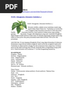 Download Tanaman Herbal by Mas Abi SN30399507 doc pdf