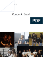 Concert Band: Amanda Vandenburg - MR Schurtz AP English 12 Period 3 27 April 2010
