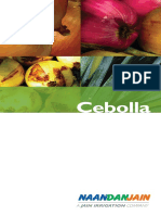 Cultivo de Cebolla